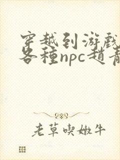 穿越到游戏里和各种npc赵青蔓封面