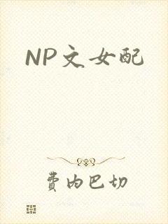 NP文女配