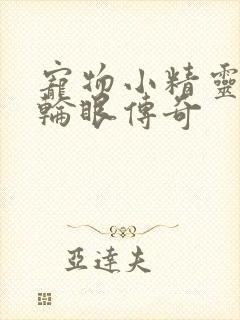 宠物小精灵之写轮眼传奇封面