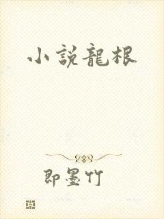 小说龙根