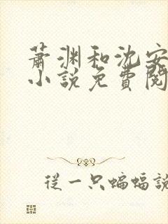 萧渊和沈安安的小说免费阅读