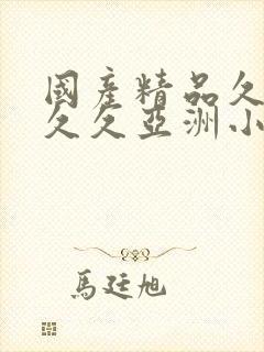 国产精品久久久久久亚洲小说