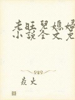 老旺儿媳妇秦雨小说全文免费阅读封面