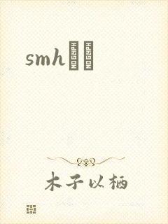 smhС˵