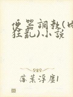 便器调教(肉体狂乱)小说