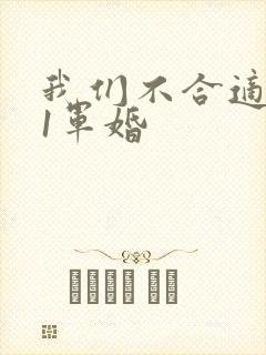 我们不合适1v1军婚封面