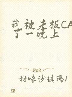 我被老板CAO了一晚上封面