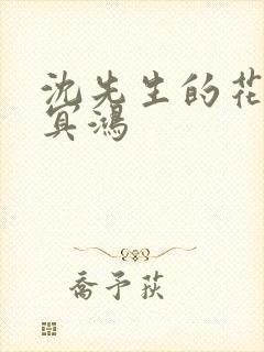 沈先生的花式调冥鸿