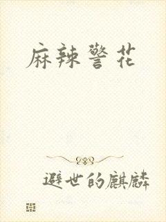 麻辣警花