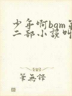 少年啊bgm第二部小说叫什么