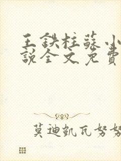 王铁柱苏小汐小说全文免费阅读最新章节