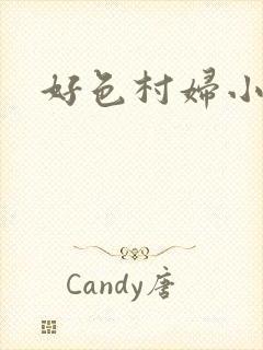 好色村妇小银贼封面