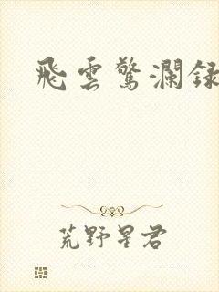 飞云惊澜录