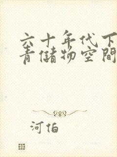 六十年代下乡知青储物空间