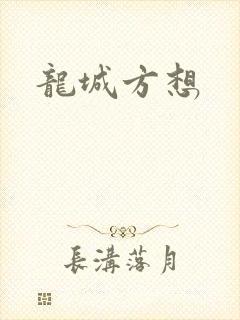 龙城方想封面