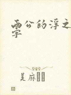 两公的浮之手中字封面