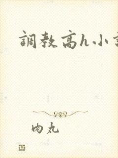 调教高h小说封面