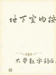 地下室肉按摩椅