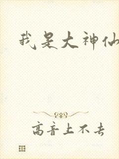 我是大神仙小说