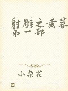 射雕之黄蓉新传第一部封面