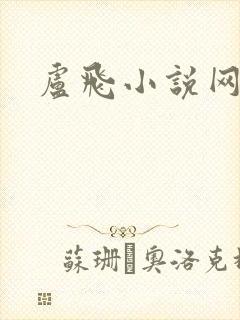 卢飞小说网