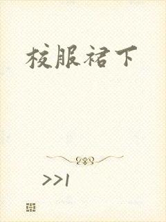 校服裙下封面