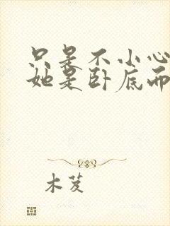 只是不小心发现她是卧底而已封面