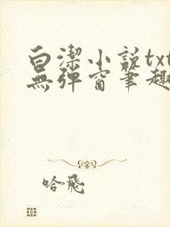 白洁小说txt无弹窗笔趣阁