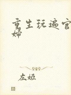 重生玩遍官场贵妇