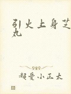 引火上身芝麻糖丸