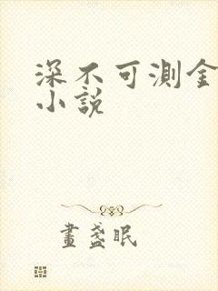 深不可测金银花小说