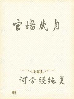 官场岁月