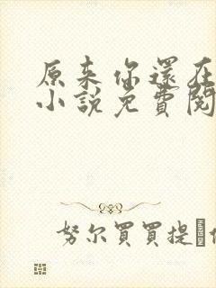 原来你还在这里小说免费阅读