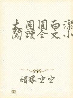 大团圆白洁免费阅读全文小说
