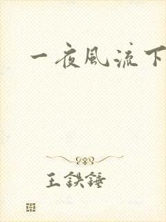 一夜风流下载