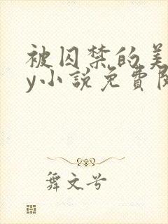 被囚禁的美人by小说免费阅读