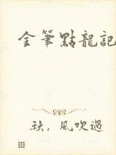 金笔点龙记封面