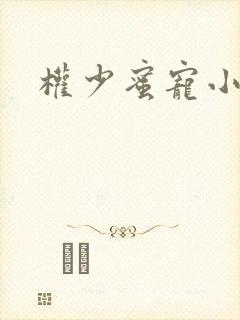 权少蜜宠小娇妻