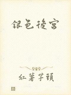 银色后宫