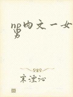 np肉文一女多男封面
