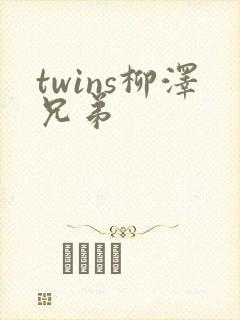 twins柳泽兄弟