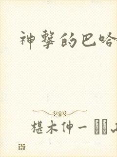 神击的巴哈姆特封面