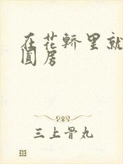 在花轿里就开始圆房封面