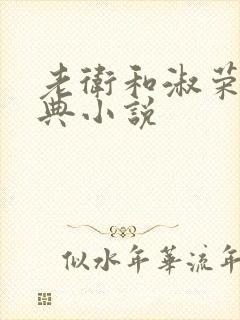 老卫和淑荣的经典小说