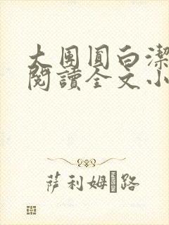 大团圆白洁免费阅读全文小说