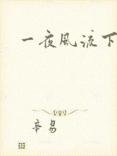 一夜风流下载