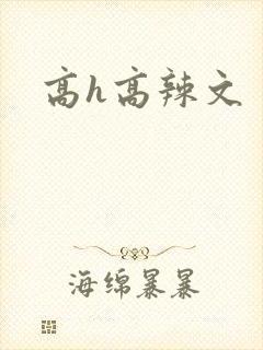 高h高辣文