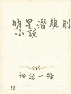 明星潜规则之皇 小说封面