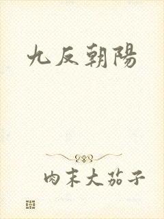 九反朝阳封面