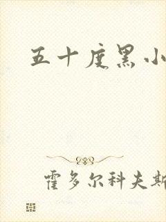 五十度黑小说封面